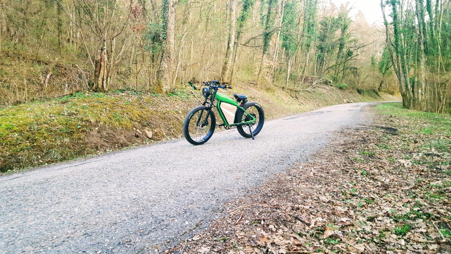 Les débuts d’ALEGENTIA : Une histoire de passion et d’innovation