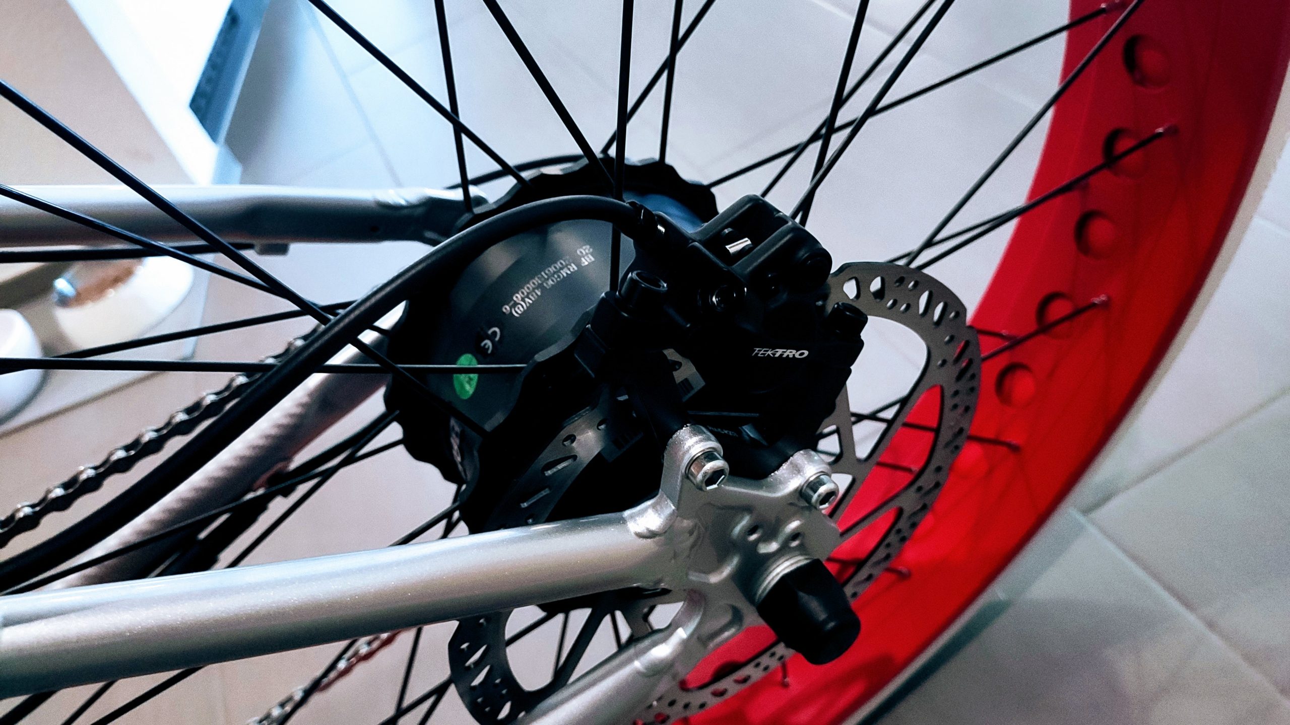 IMG_20230210_145555-scaled