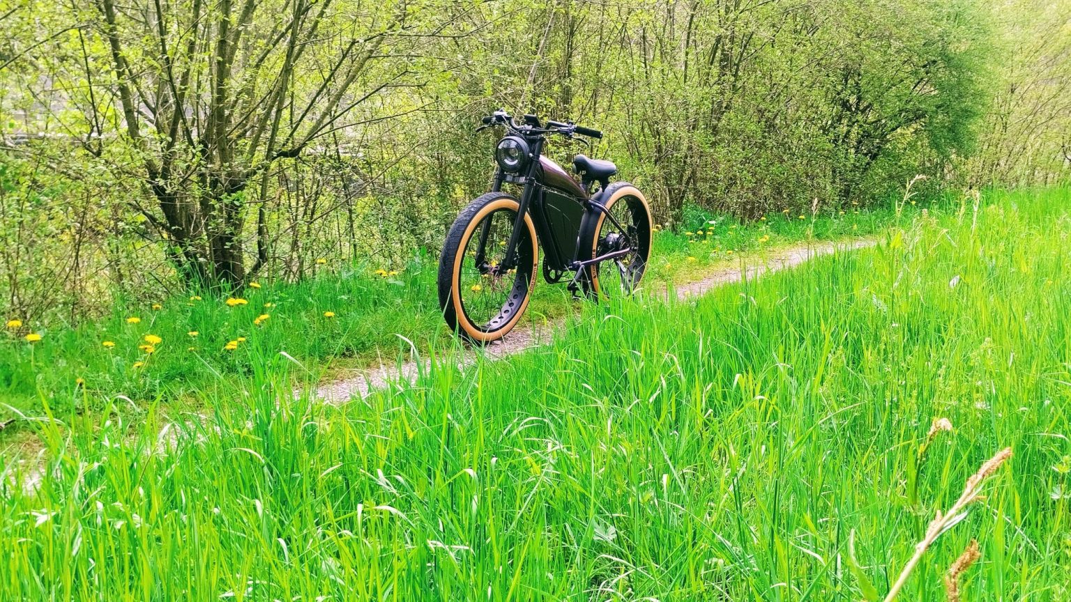 IMG_20230426_150805-1-scaled