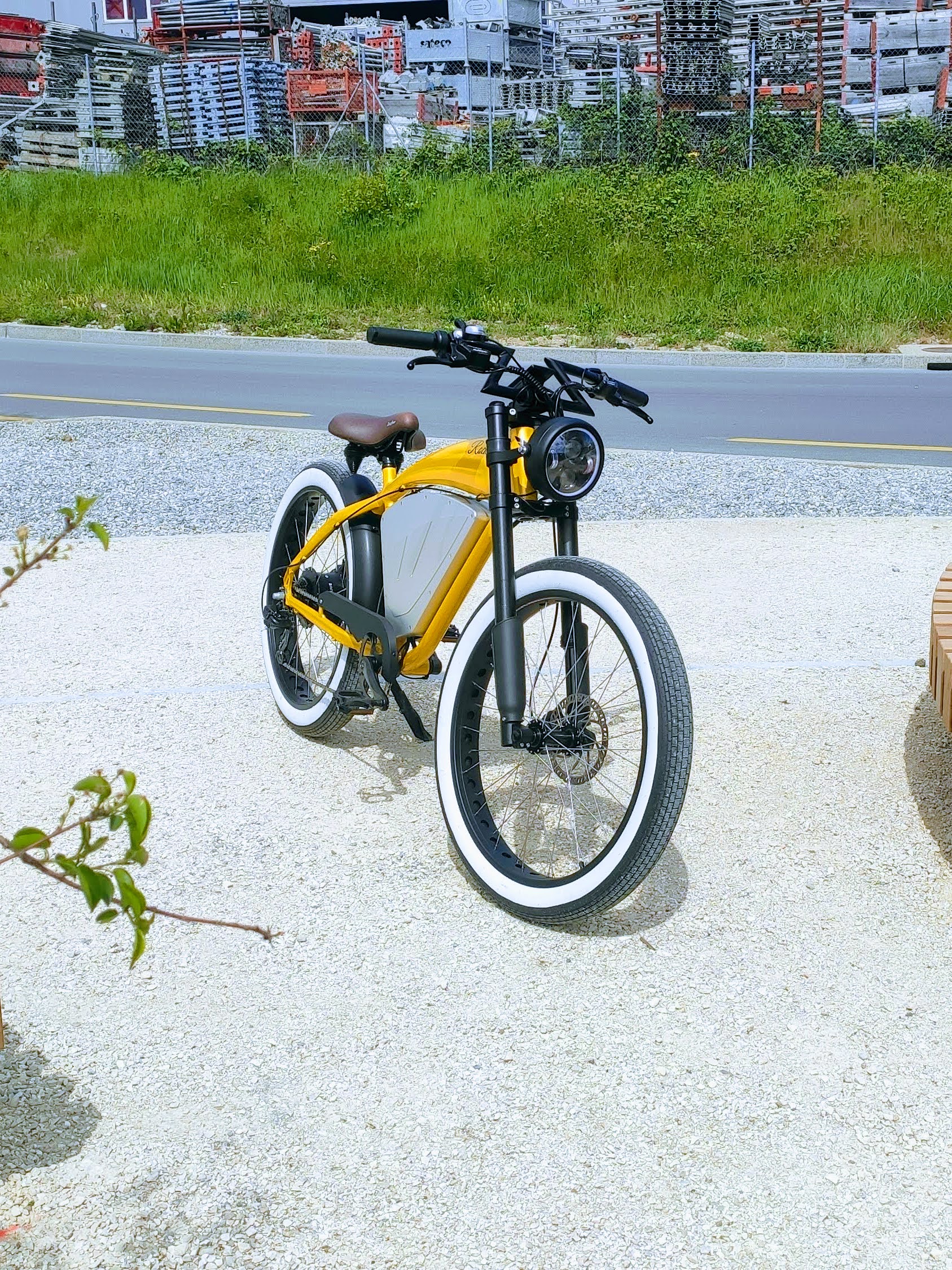 IMG_20240425_145151-EDIT