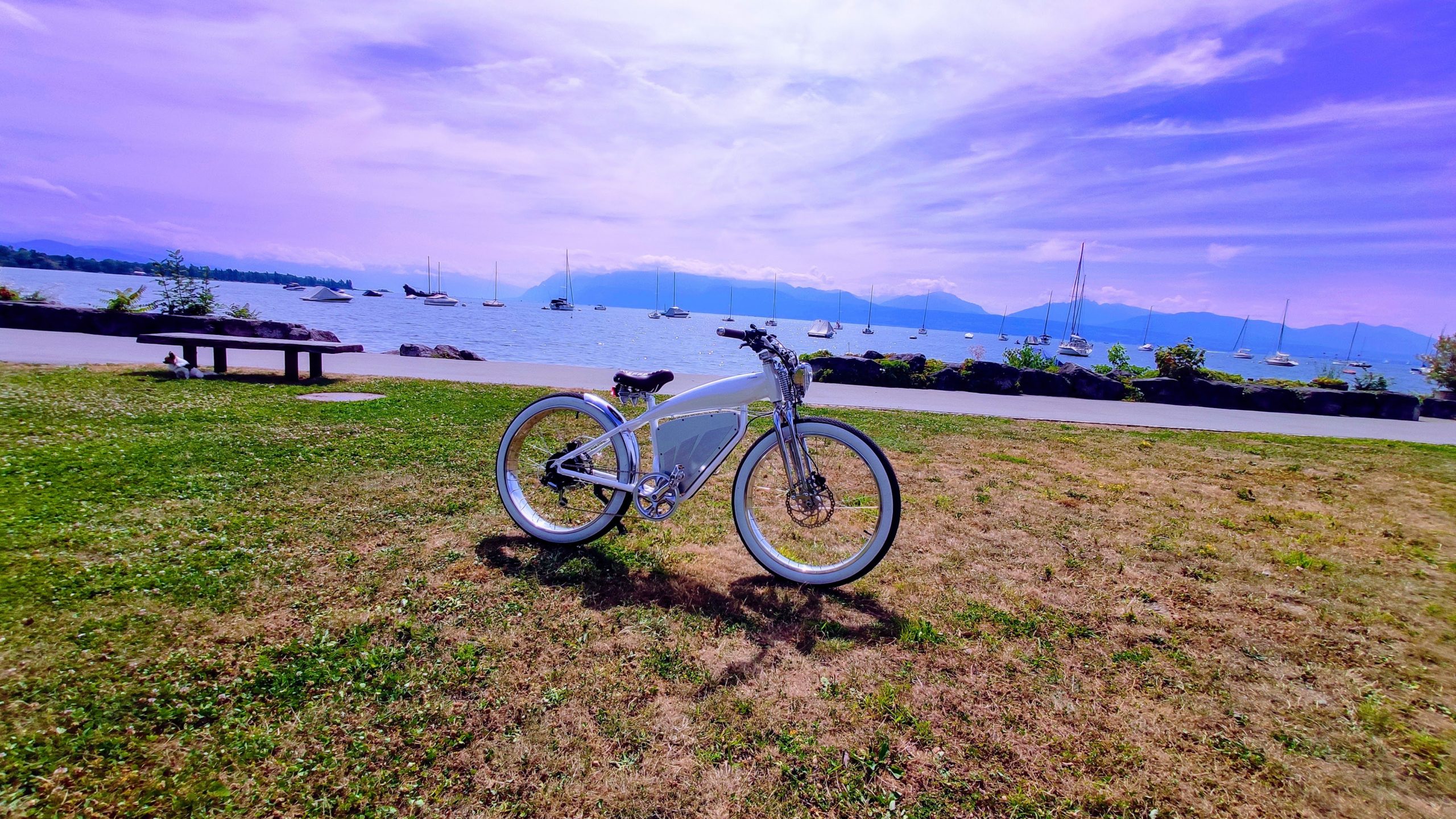 IMG_20240804_120002~2