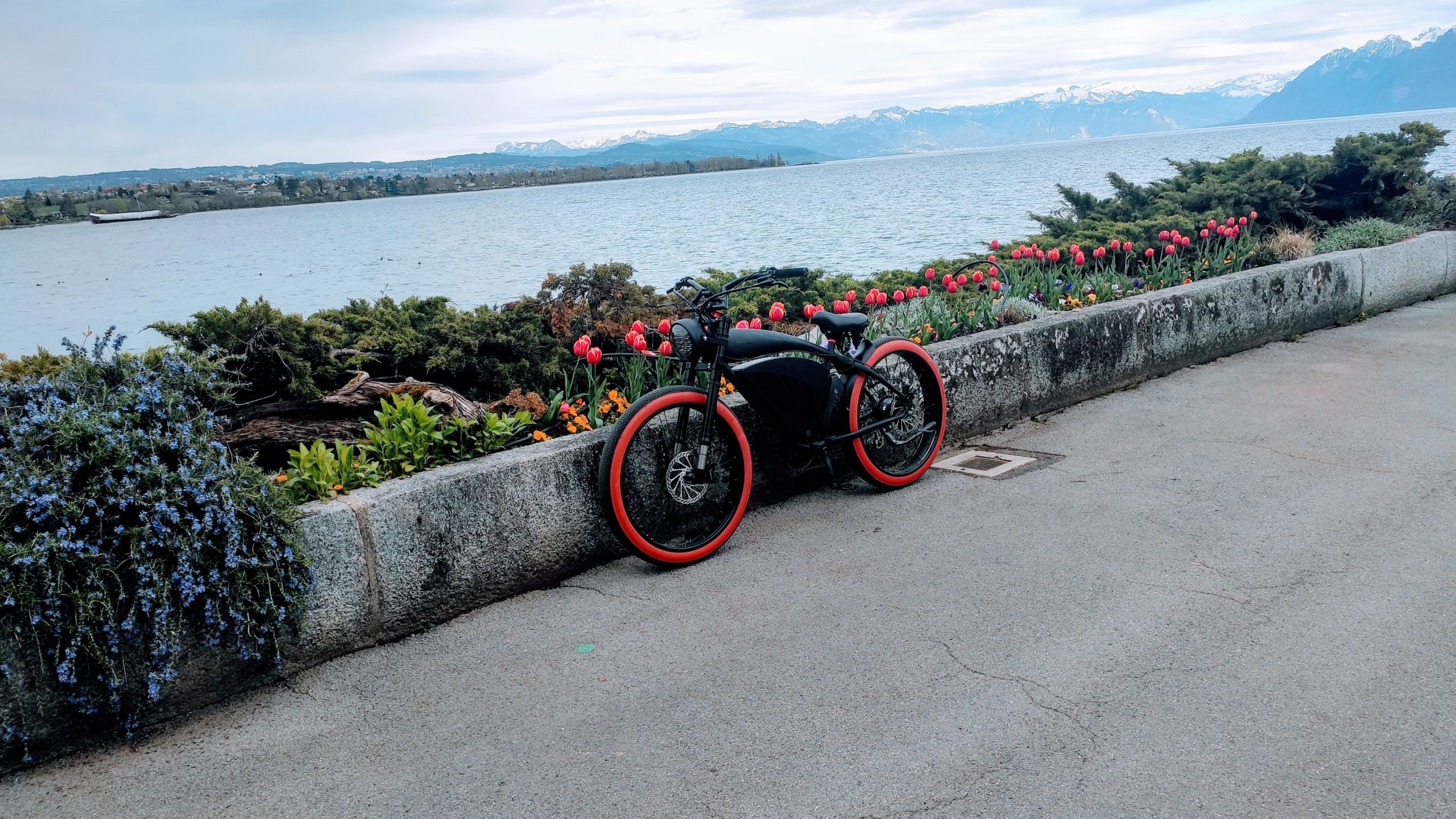 IMG_20240405_175325 (2)