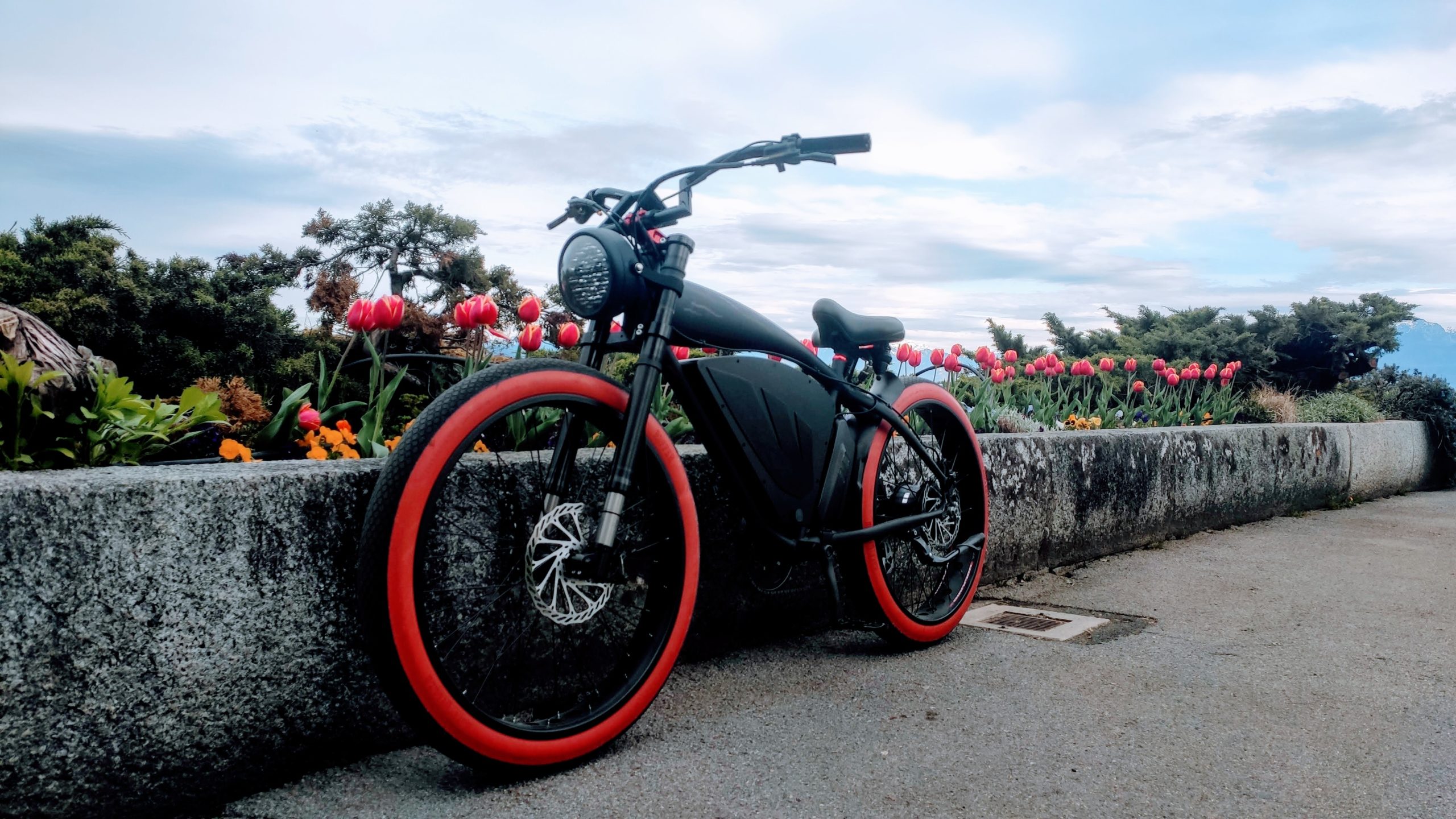 IMG_20240405_175349 (1)