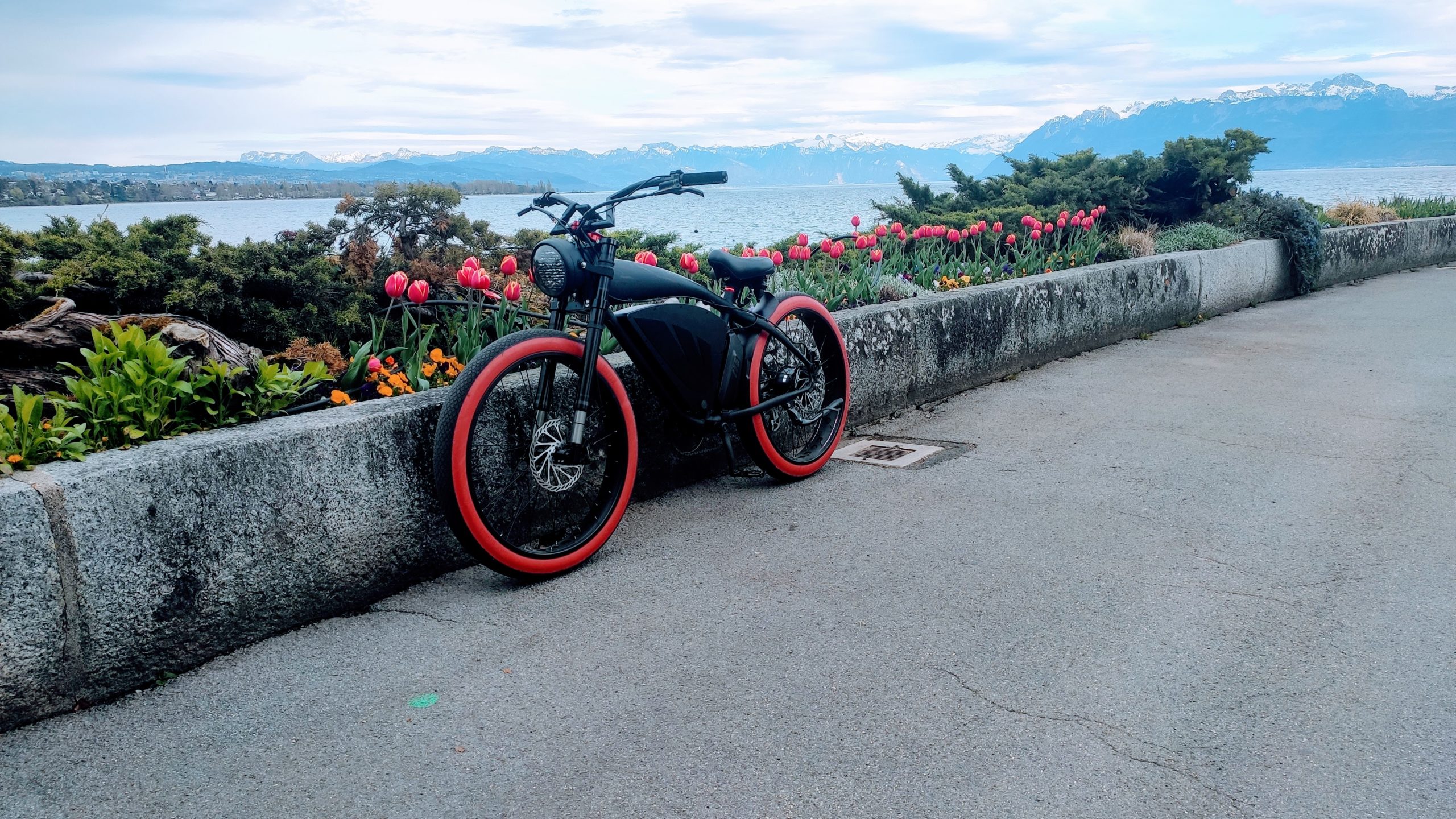 IMG_20240405_175354 (1)