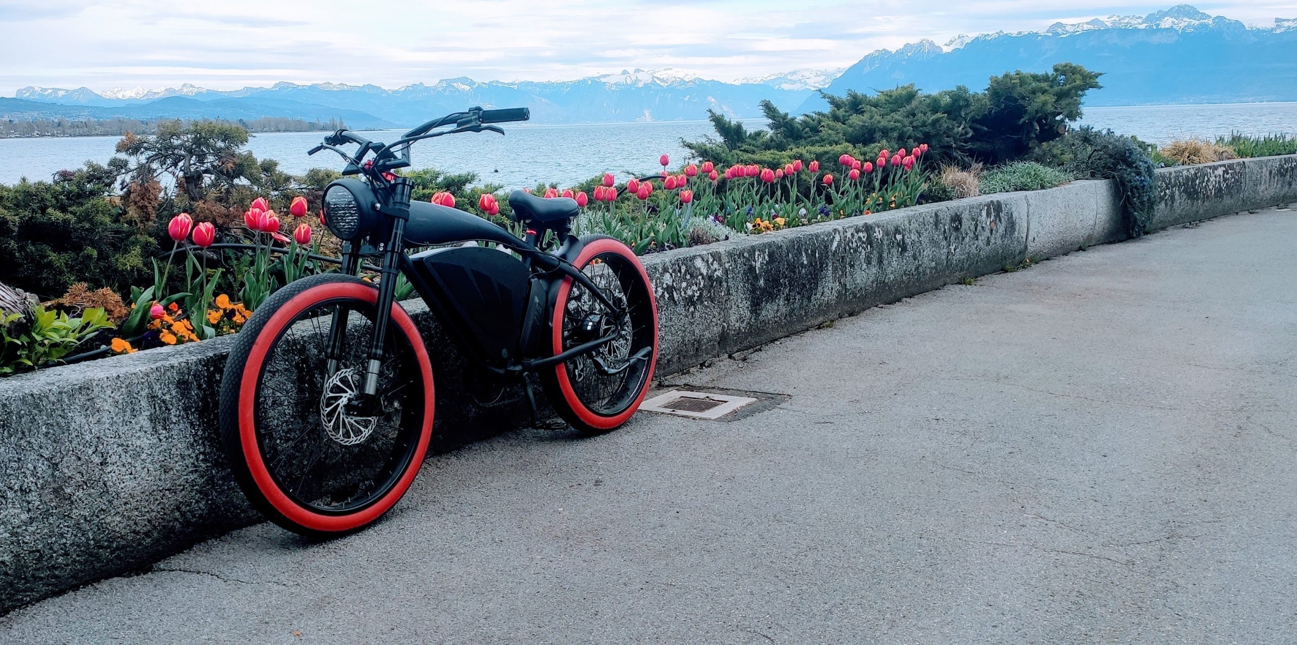 IMG_20240405_175354-EDIT